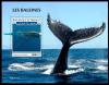 Colnect-6113-396-Whales.jpg