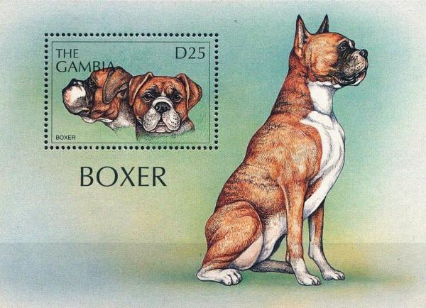 Colnect-4725-300-Boxer.jpg