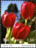 Colnect-5154-392-Tulips.jpg