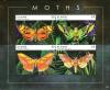 Colnect-3483-478-Moths.jpg
