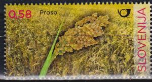 Colnect-4357-452-Millet.jpg