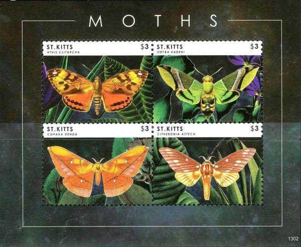 Colnect-3483-478-Moths.jpg