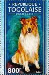 Colnect-4899-531-Collie.jpg