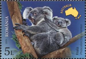 Colnect-6302-557-Koala.jpg