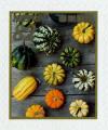 Colnect-5639-611-Gourds.jpg