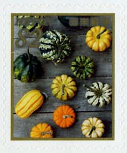 Colnect-5639-611-Gourds.jpg