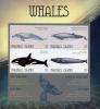 Colnect-6220-616-Whales.jpg