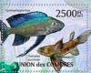 Colnect-6205-724-Fishes.jpg