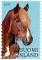 Colnect-5876-782-Horse.jpg