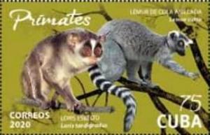 Colnect-7459-896-Lemurs.jpg