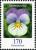 Colnect-6195-805-Pansy.jpg