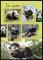 Colnect-6091-973-Pandas.jpg