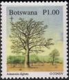 Colnect-1754-808-Baobab-Tree-Adansonia-digitata---Bare.jpg