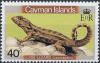 Colnect-2364-597-Lion-Lizard--Leiocephalus-sp-.jpg