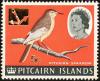 Colnect-2422-122-Pitcairn-Reed-warbler-Acrocephalus-vaughanii---surcharged.jpg