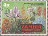 Colnect-3429-034-Zambian-Flowers.jpg