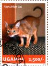 Colnect-4021-327-Abyssinian-cat.jpg