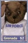 Colnect-4620-751-Air-Force-bear.jpg