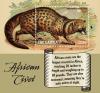 Colnect-5588-612-African-Civet.jpg