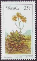 Colnect-1713-633-Aloe-maculata.jpg