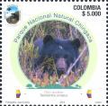 Colnect-5766-028-Andean-Bear-at-Chingaza-National-Park.jpg