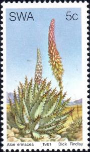 Colnect-4541-710-Aloe-Erinacea.jpg