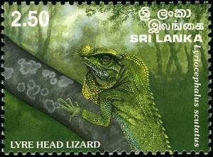 Colnect-2244-849-Lyre-Head-Lizard-Lyriocephalus-scutatus.jpg
