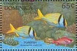 Colnect-2300-029-Porkfish-Anisotremus-virginicus.jpg