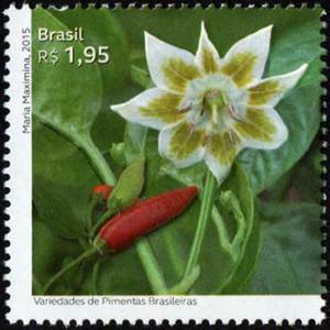 Colnect-2972-793-dedo-de-mo-ccedil-a-Capsicum-baccatum-var-pendulum.jpg