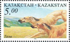 Colnect-4692-139-Kazakh-Taza-Canis-lupus-familiaris.jpg