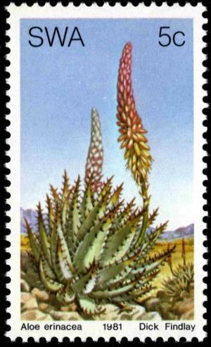 Colnect-5209-156-Aloe-Erinacea.jpg