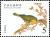 Colnect-4883-144-Yellow-crowned-Amazon-Amazona-ochrocephala-.jpg