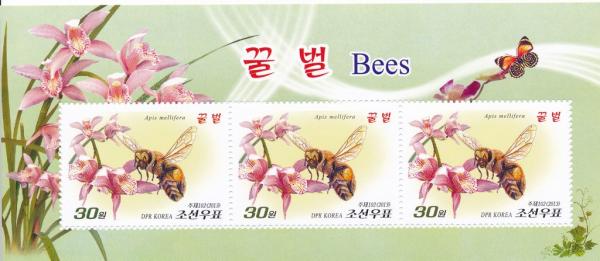Colnect-3266-447-Honeybee-Apis-mellifera-orchids.jpg