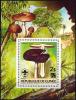 Colnect-2906-150-Agaricus-niger.jpg