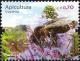 Colnect-2710-356-Bee--Apis-sp-Pollination.jpg
