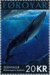 Colnect-158-094-Sei-Whale-Balaenoptera-borealis-.jpg