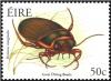 Colnect-1902-325-Great-Diving-Beetle-Dytiscus-marginalis.jpg
