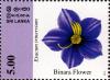 Colnect-2409-711-Binara-flower.jpg