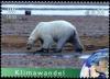 Colnect-2631-072-Polar-Bear-Ursus-maritimus.jpg