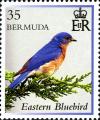 Colnect-2789-060-Eastern-Bluebird-Sialia-sialis.jpg