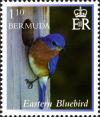 Colnect-2789-062-Eastern-Bluebird-Sialia-sialis.jpg