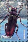 Colnect-3522-430-Blister-beetle.jpg