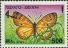 Colnect-3571-061-Brush-footed-Butterfly-Melitaea-acreina.jpg