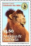 Colnect-4112-683-Bactrian-camel.jpg