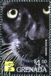 Colnect-4391-217-Black-leopard.jpg