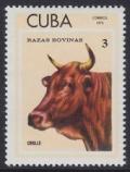 Colnect-1623-657-Criollo-Bos-primigenius-taurus.jpg