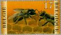 Colnect-187-254-Honey-Bee-Apis-mellifica.jpg