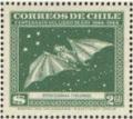 Colnect-2101-252-Red-Fruit-Bat-Stenoderma-chilensis.jpg