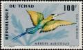 Colnect-2395-375-White-throated-Bee-eater-Merops-albicollis-.jpg