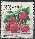 Colnect-3972-633-Fruit-Berries-Raspberries.jpg